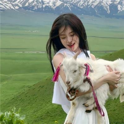 舒梅特琳恩